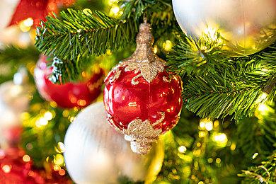 《怪物猎人》怪物总选举 牙龙种雷狼龙夺得第一